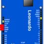 leouno_pin_sup.png